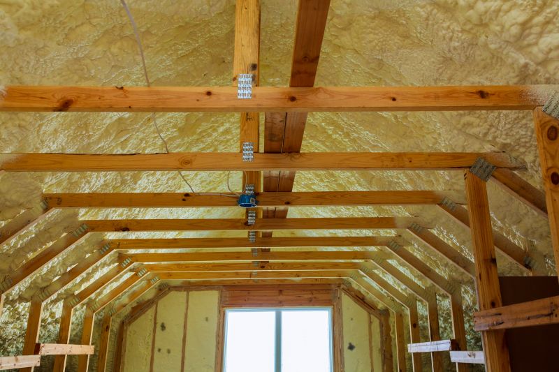 Ceiling Insulation Installation in Austin, TX